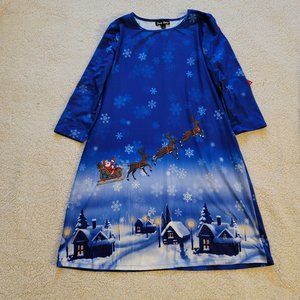 Dress Works Christmas Dress